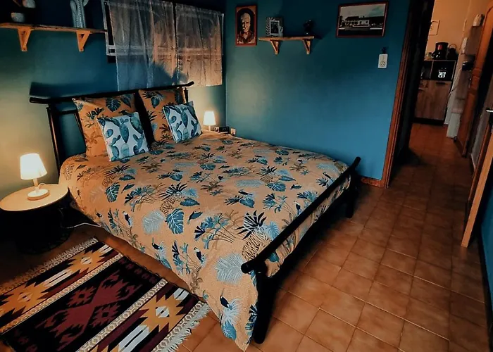 Le Nopal Bleu